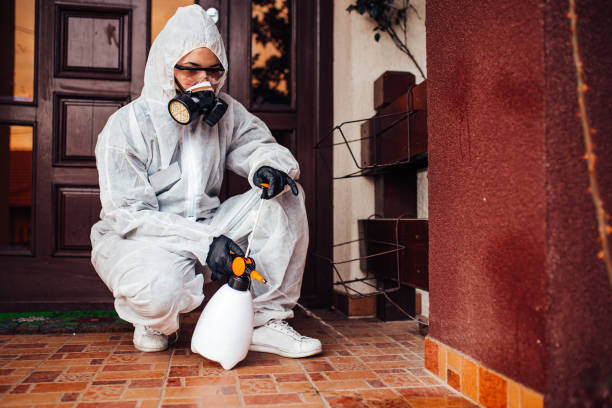 Reliable Termite Control contractor in Ringgold, LA by Nex Pest Control